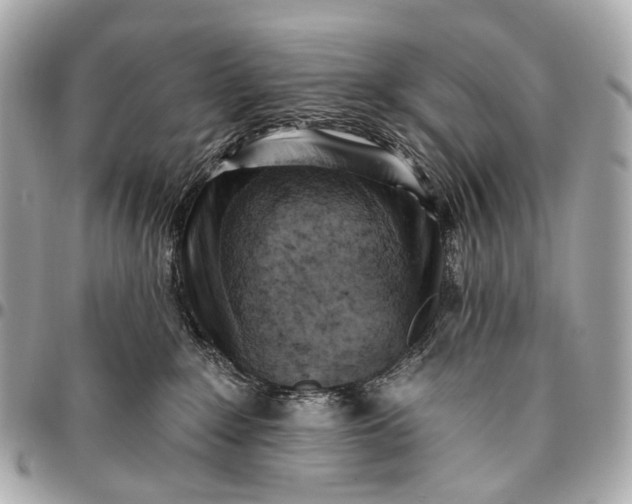 X0000096450235200802071819