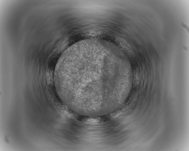 X0000096450236200802071819