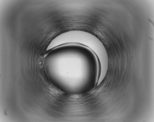 X0000096450237200802071819