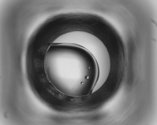 X0000096450239200802071819