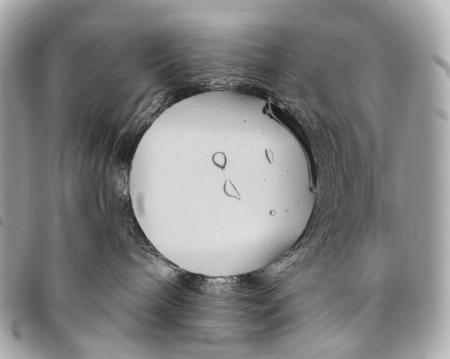 X0000096450240200802071819