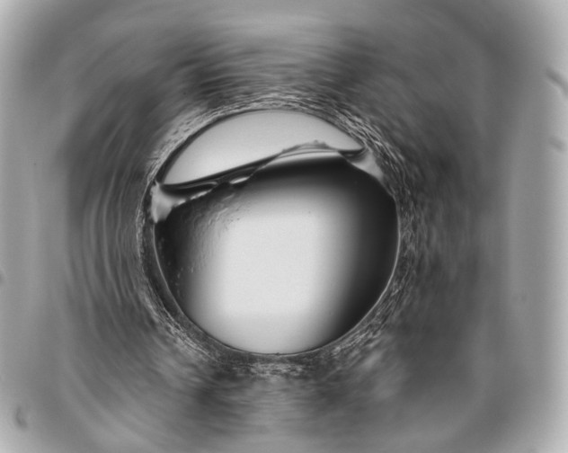 X0000096450242200802071818