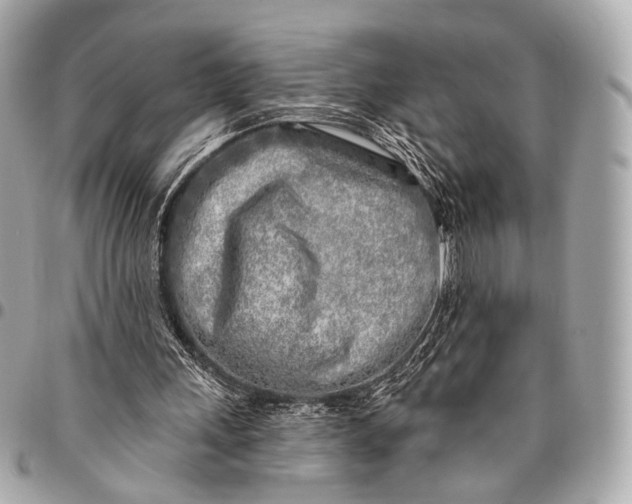 X0000096450243200802071818