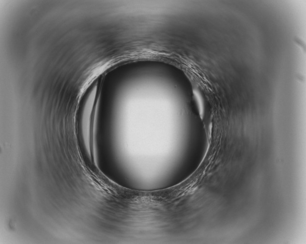 X0000096450244200802071818