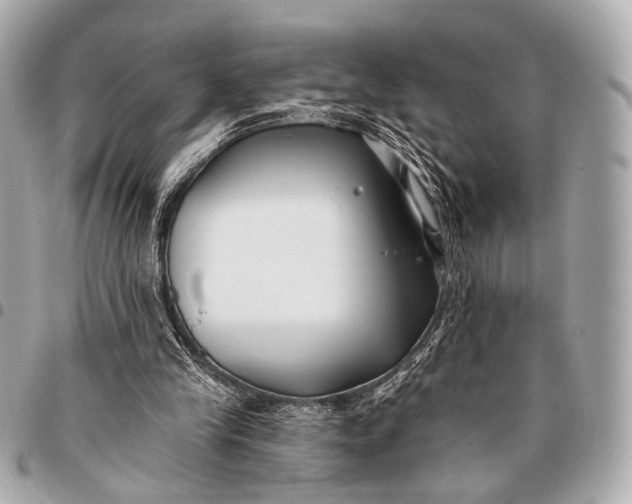 X0000096450245200802071818