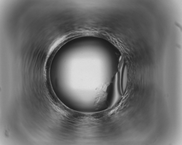 X0000096450246200802071818