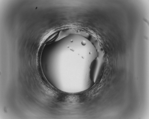 X0000096450248200802071818