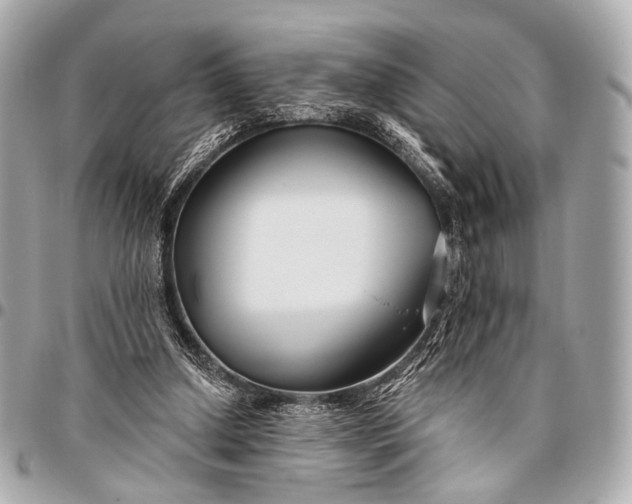 X0000096450250200802071818