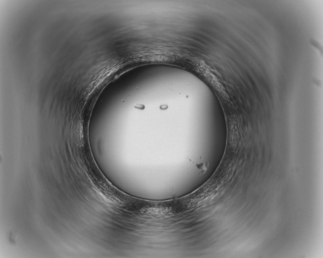 X0000096450251200802071818