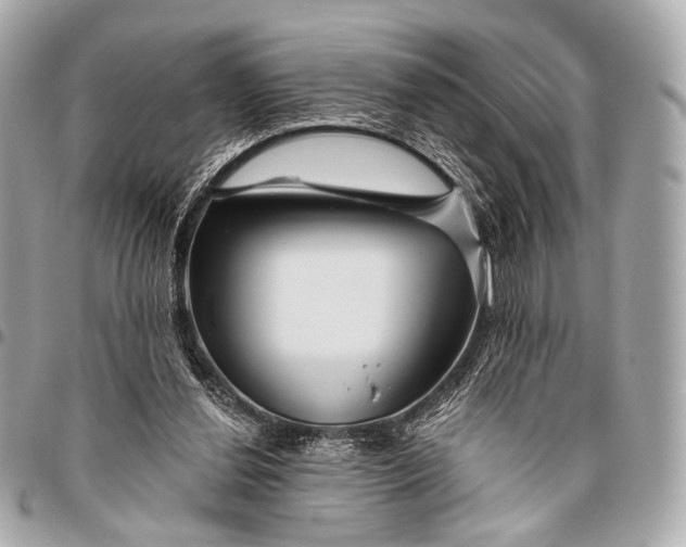 X0000096450252200802071818