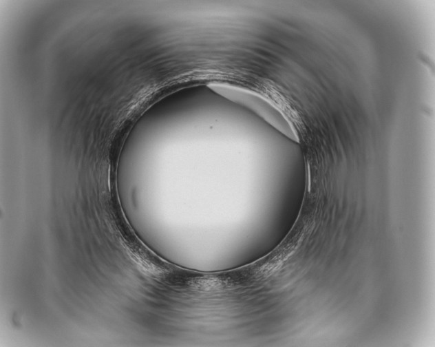 X0000096450253200802071818