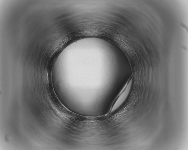 X0000096450254200802071818