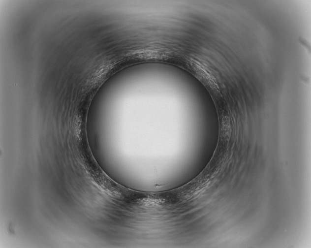 X0000096450255200802071818