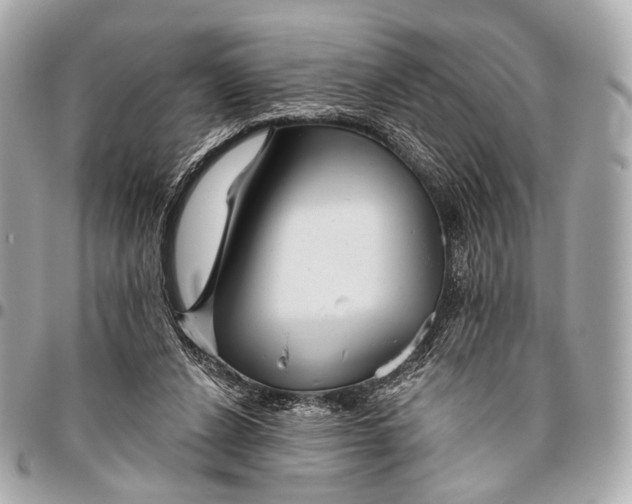 X0000096450256200802071818