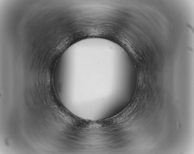 X0000096450257200802071818