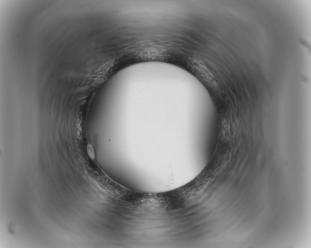 X0000096450259200802071818