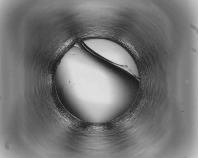 X0000096450260200802071818