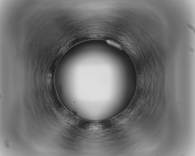 X0000096450263200802071818