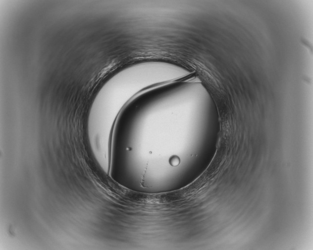 X0000096450264200802071818