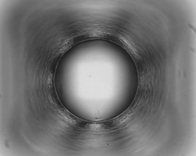 X0000096450265200802071818