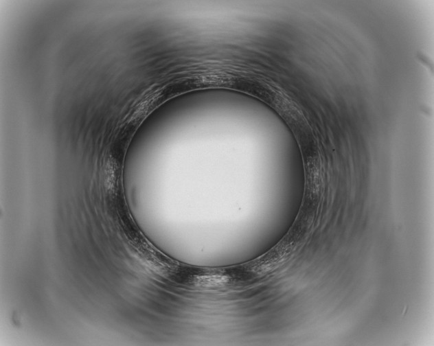 X0000096450266200802071818