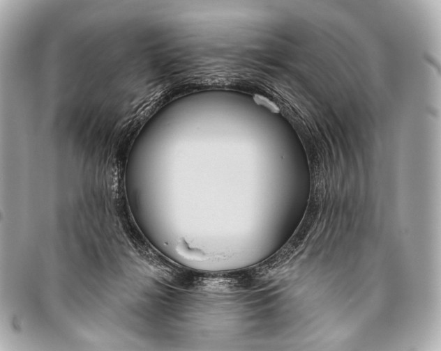 X0000096450268200802071818