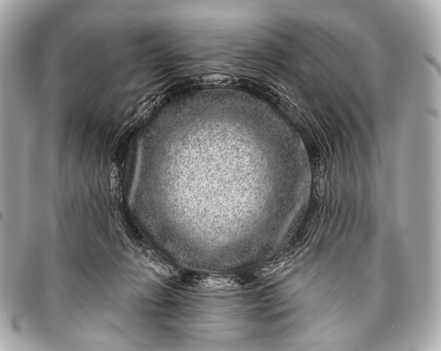 X0000096450270200802071818