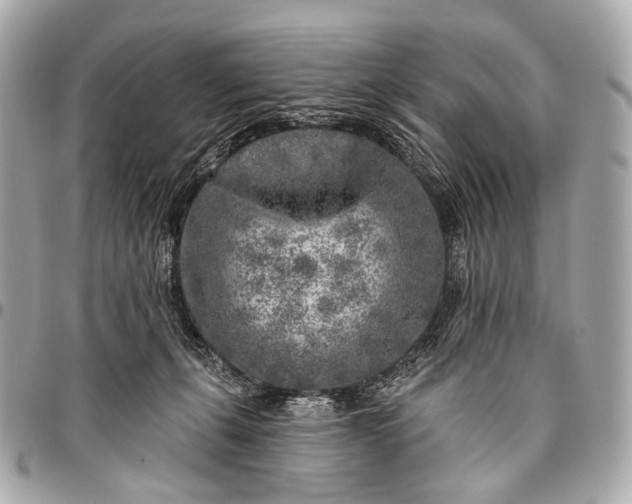 X0000096450271200802071818