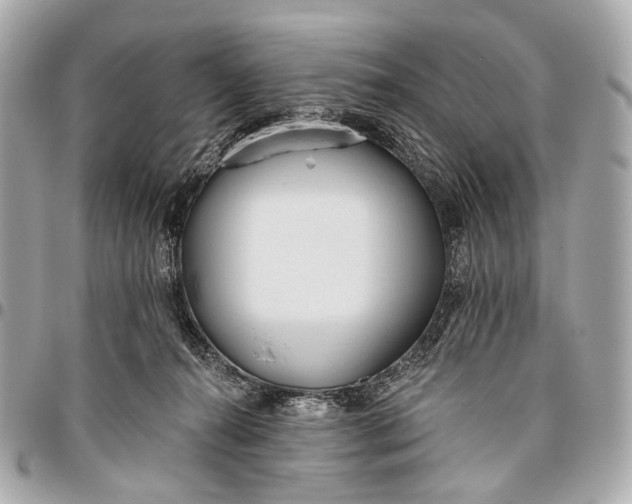 X0000096450272200802071818