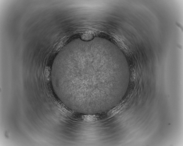 X0000096450273200802071818