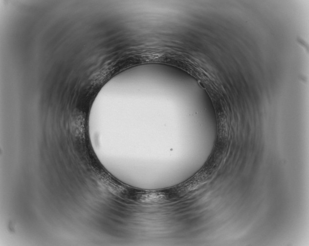 X0000096450274200802071818