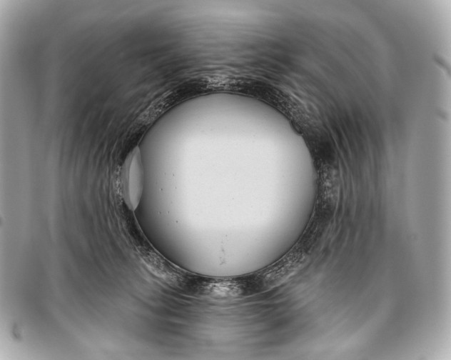 X0000096450275200802071818