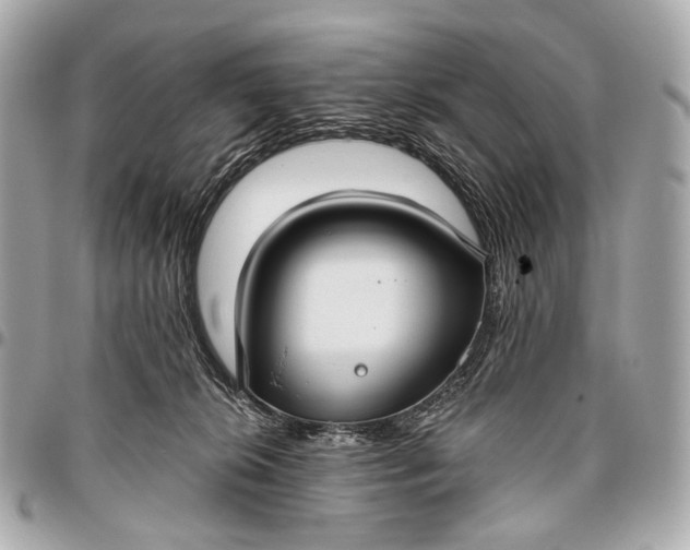 X0000096450276200802071818