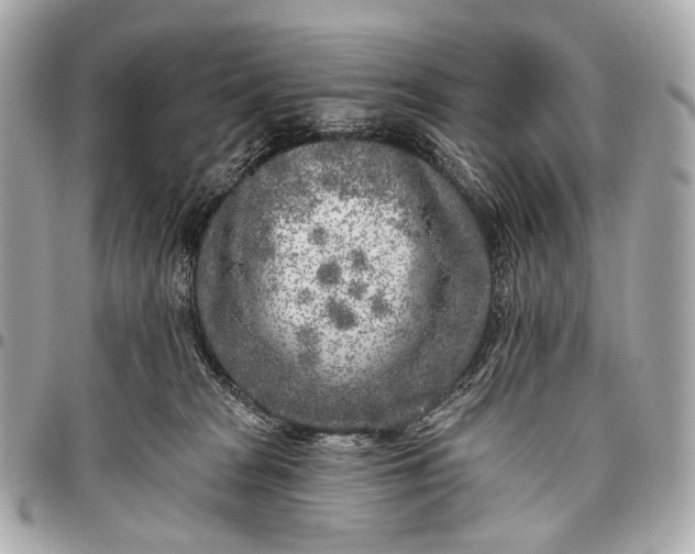 X0000096450277200802071818