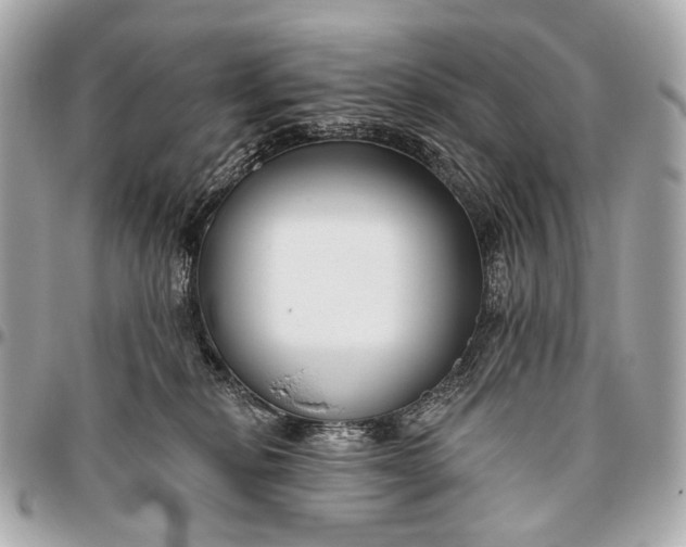 X0000096450278200802071818