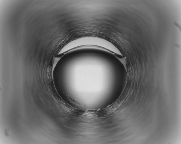 X0000096450280200802071818