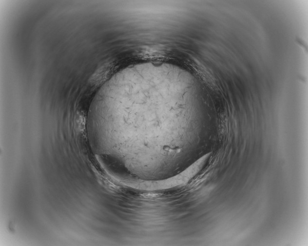 X0000096450281200802071818