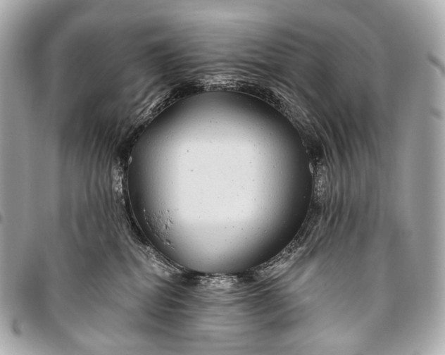 X0000096450282200802071818