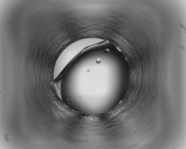 X0000096450284200802071818