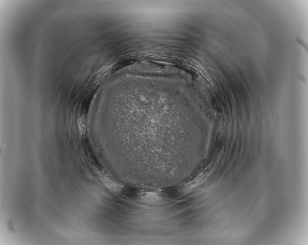 X0000096450285200802071818