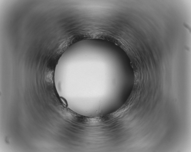 X0000096450286200802071818