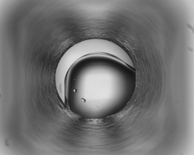 X0000096450288200802071819