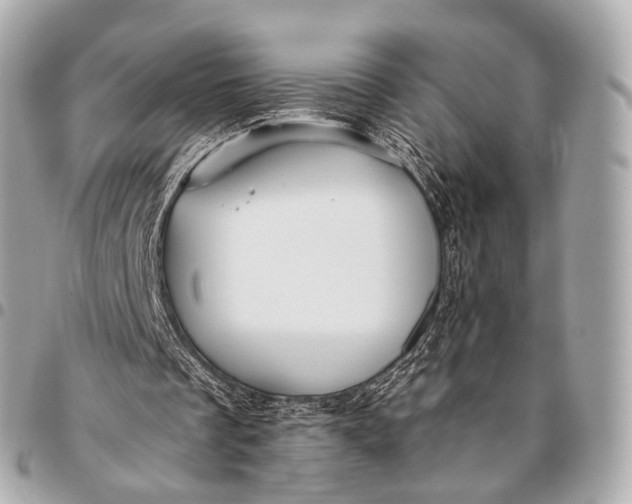 X0000096450289200802071818