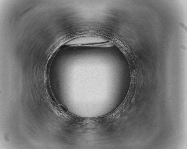 X0000096450290200802071818