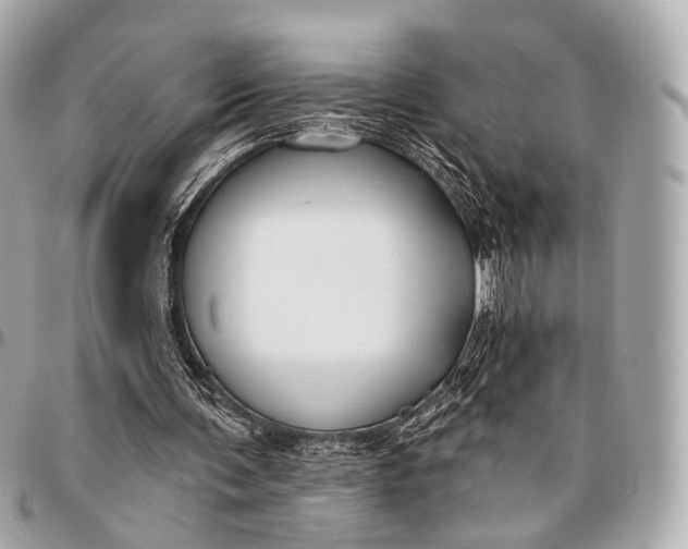 X0000096450291200802071818