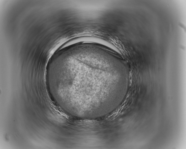 X0000096450292200802071818