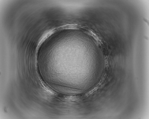 X0000096450293200802071818