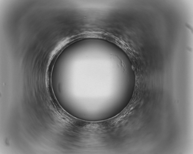 X0000096450294200802071818