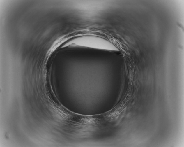 X0000096450295200802071818