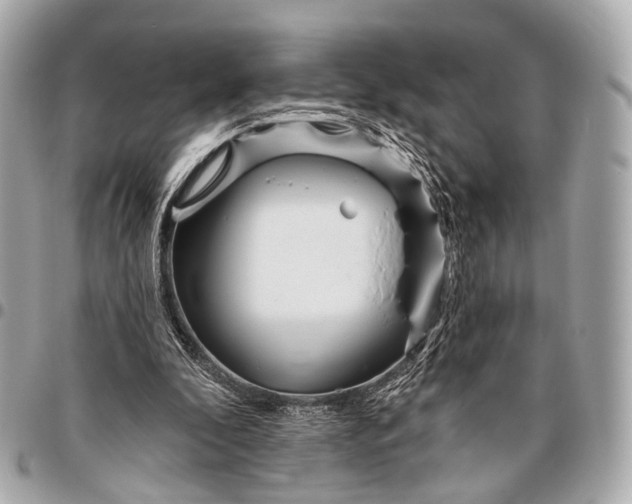 X0000096450296200802071818